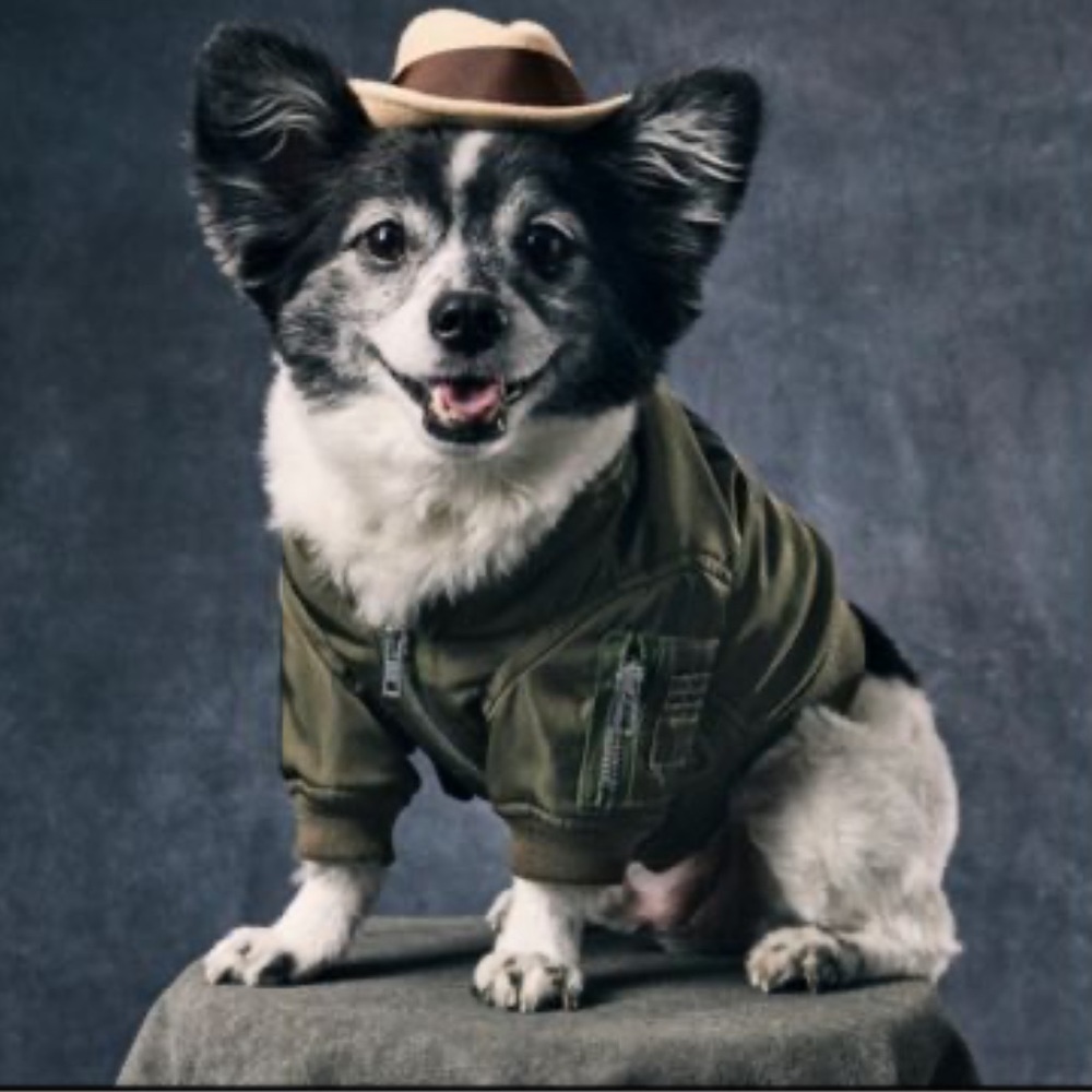 Moschino Green Dog Jacket size 40